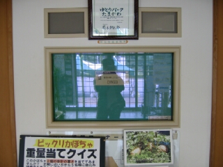 画像の説明