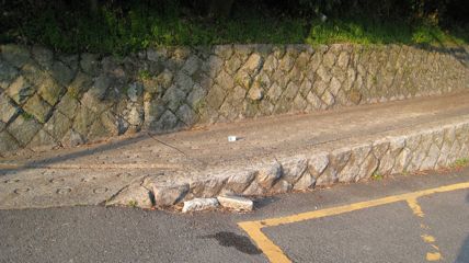画像の説明