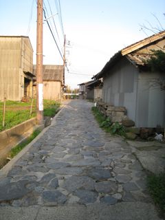 画像の説明