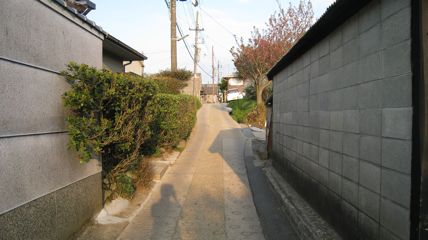 画像の説明