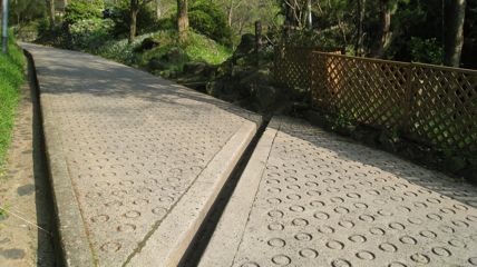 画像の説明