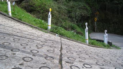画像の説明