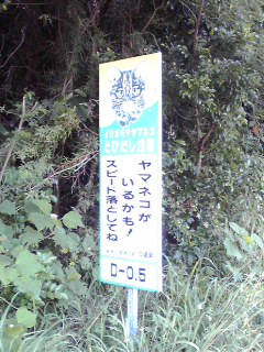 画像の説明