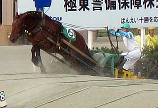 ばんえい競馬