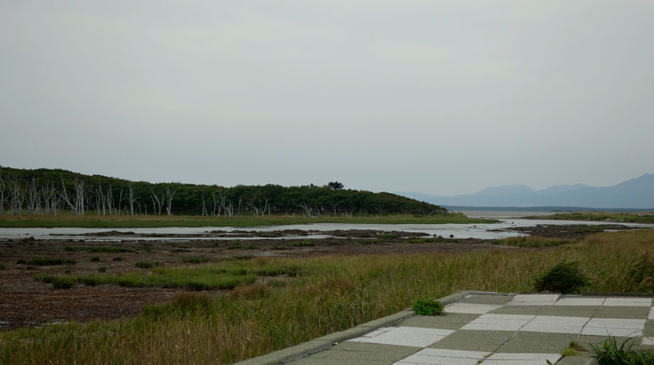 野付半島