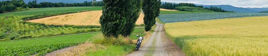 人生という名の酷道で遭難中